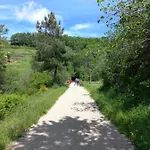 Hotel Rural El Molino 3*