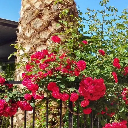 מלון Rural El Molino 3*