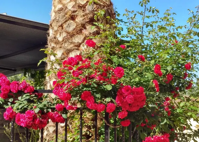 Szálloda Rural El Molino 3*